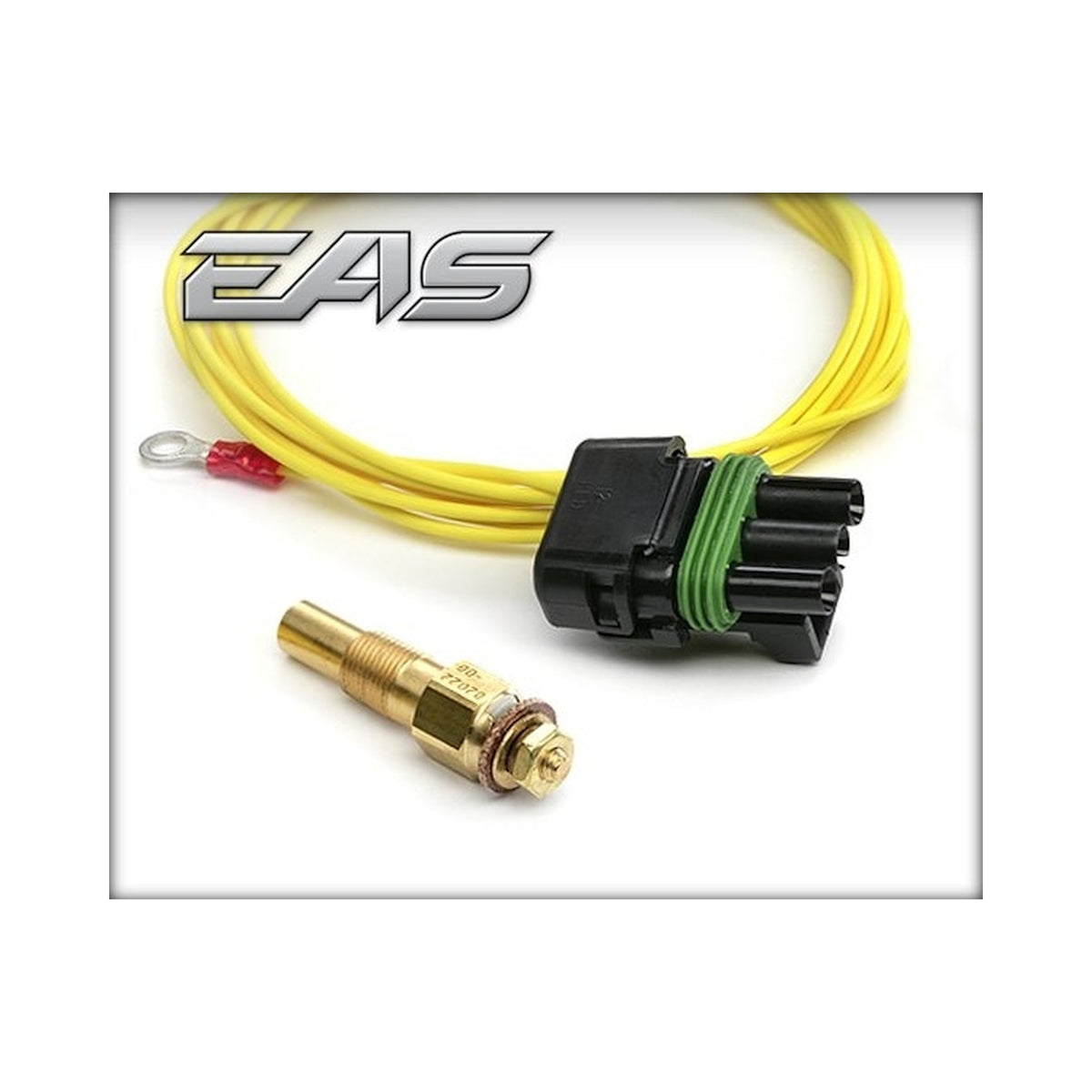 EAS Temperature Sensor -40-300 Degrees Fahrenheit Compatible w/ Edge CS2/CTS2/CTS3 1/8 in. NPT Edge Products Edge Products