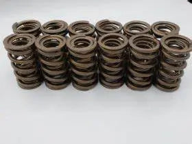 Hamilton Cams 12 Valve Dual Valve Springs 07-s-002 - TAMELESS PERFORMANCE