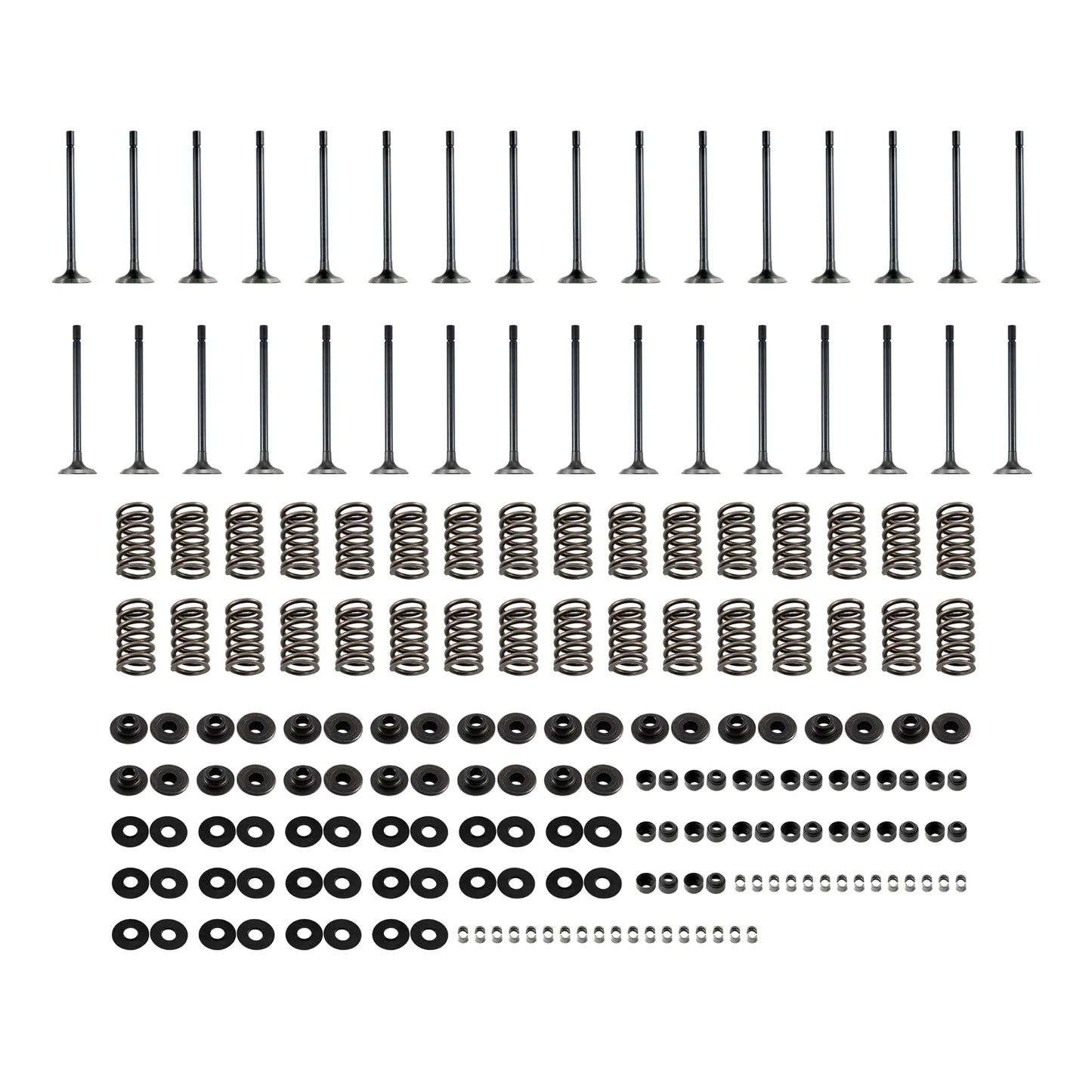 PPE 2001-2016 GM 6.6L Duramax Valve and Spring Kit