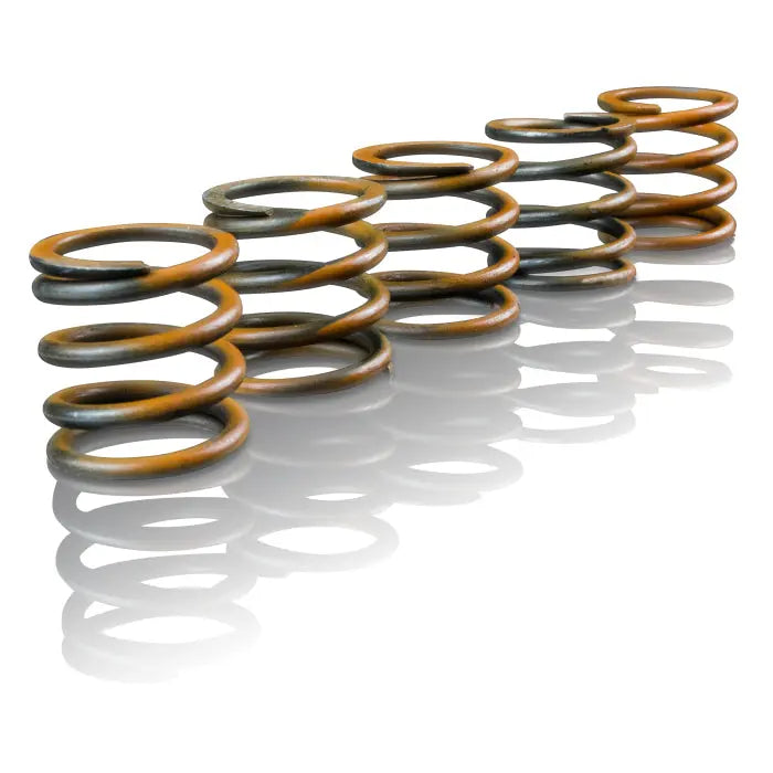 Enhanced Performance Accumulator Spring