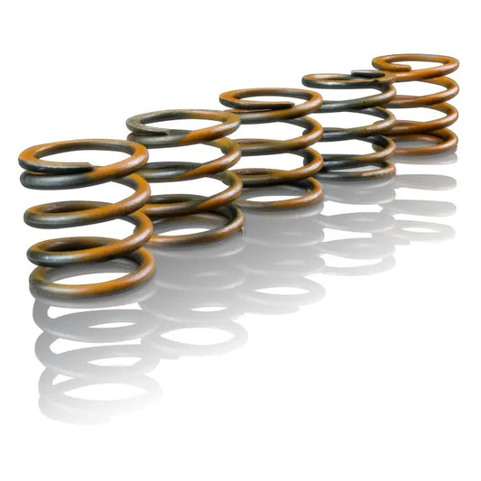Suncoast Enhanced Performance Accumulator Spring