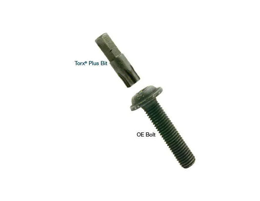Suncoast Torx® Plus Bit