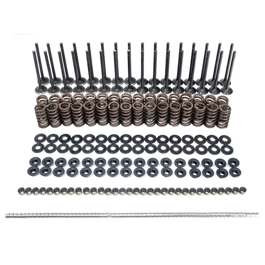 PPE 2001-2016 GM 6.6L Duramax Valve and Spring Kit