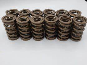 Hamilton Cams 12 Valve Dual Valve Springs 07-s-002