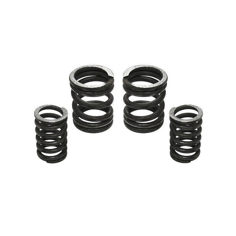5000 RPM Governor Spring Kit 5000GSK Industrial Injection Industrial Injection