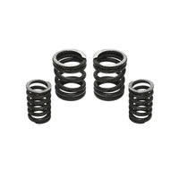 5000 RPM Governor Spring Kit 5000GSK Industrial Injection Industrial Injection