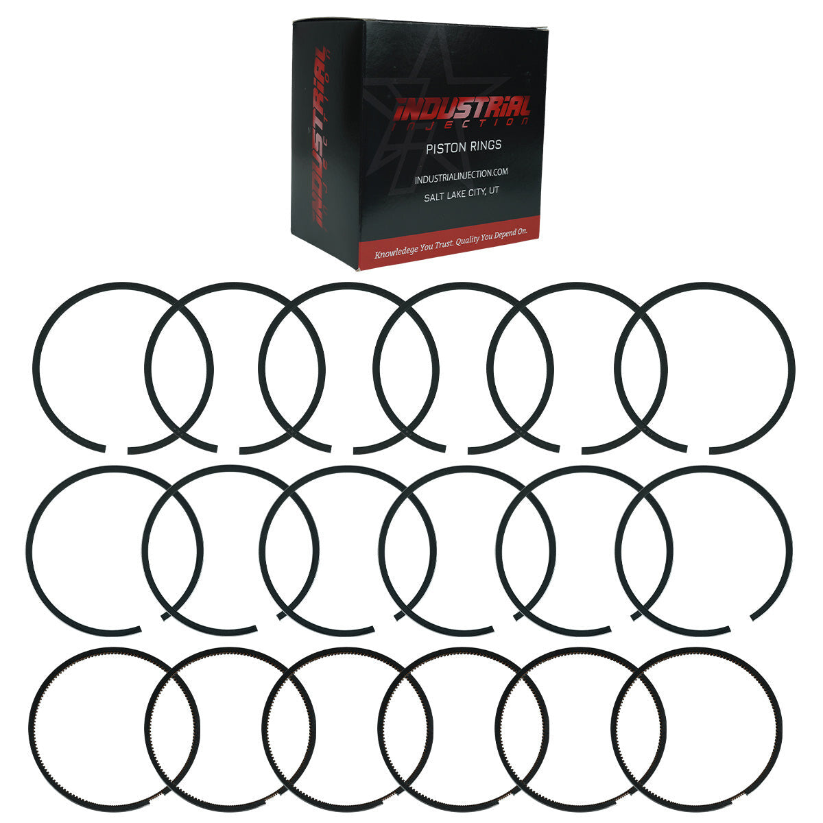 07.5-24 6.7L Cummins X-Series Piston Ring Kit (.040) Industrial Injection Industrial Injection