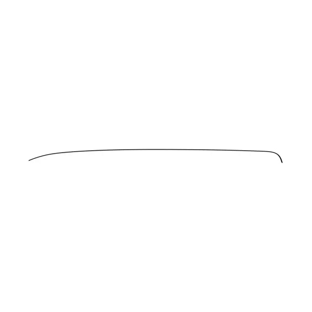 Mopar Roof Molding (Driver Side) 68289845AC