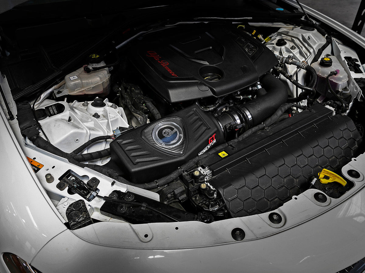 Momentum GT Cold Air Intake System w/ Pro 5R Filter Alfa Romeo Giulia 17-26 L4-2.0L (t) aFe Power aFe Power