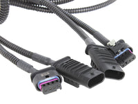 Scorcher GT Power Module L6-3.0L (t) N55 aFe Power aFe Power