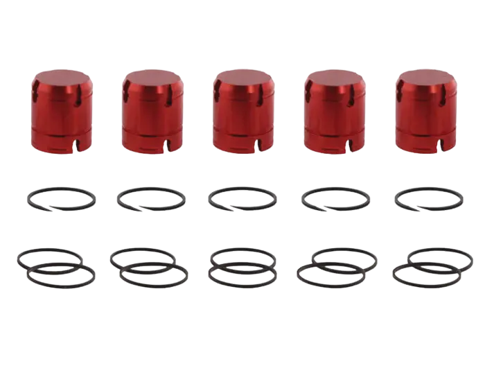 Accumulator Piston Kit