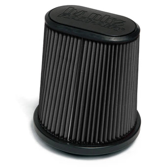 compare product Air Filter Element Dry For Use W/Ram-Air Cold-Air Intake Systems 15-16 Ford F-150 2.7-3.5 EcoBoost and 5.0L Banks Power