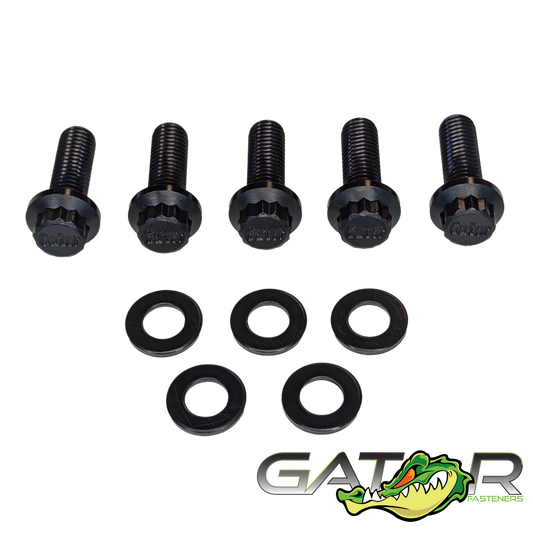 Bolt Pack M8x1.25x30 HD220 Material 5 Bolts & Washers Gator Fasteners Gator Fasteners