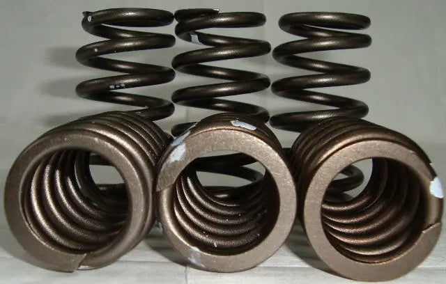 Ducky Fuel Injection 4K Governor Spring Kit & Valve Spring Bundle ...