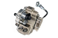 LML Emissions Compliant CP3 Conversion Kit w/ CP3 Pump 11-16 Duramax Dan's Diesel Performance Dans Diesel Performance