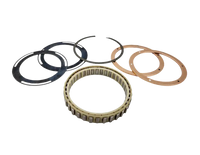 Low/Reverse Sprag Rebuild Kit