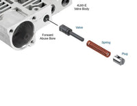 Oversized Forward & Reverse Abuse Valve Kit