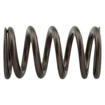 compare product Dodge Performance Valve Springs For 1998.5-2018 Cummins 24 Valve 95 LB Industrial Injection