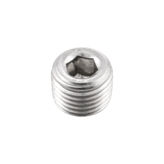 PPE 1/4" NPT Stainless Steel Plug