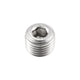 PPE 1/4" NPT Stainless Steel Plug