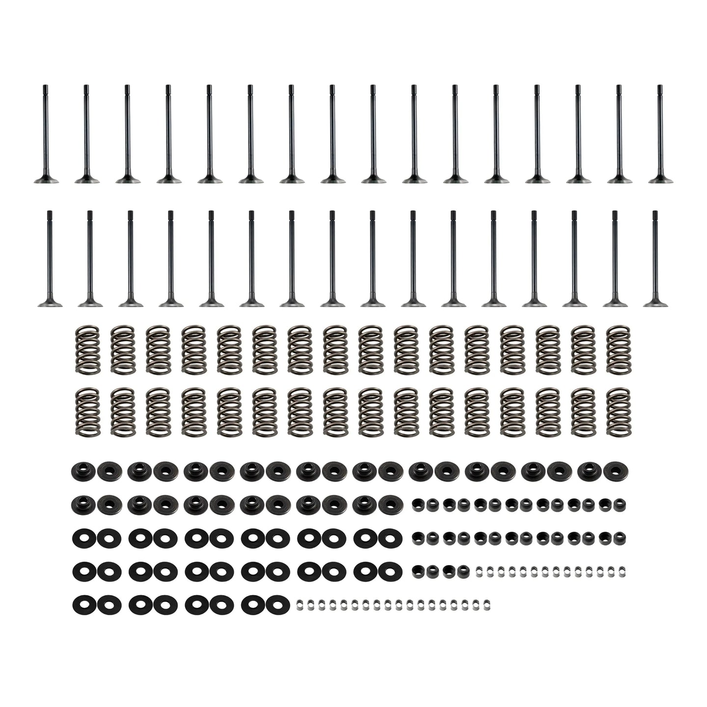 PPE 2001-2016 GM 6.6L Duramax Valve and Spring Kit