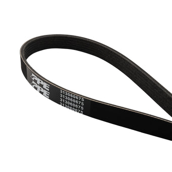 compare product PPE 2013-2023 Ford Mustang 5.0L/5.2L High-Performance Heavy-Duty Serpentine Belt