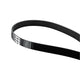 PPE 2020-2023 GM 6.6L L5P 8 Rib Fan Belt 1063MM