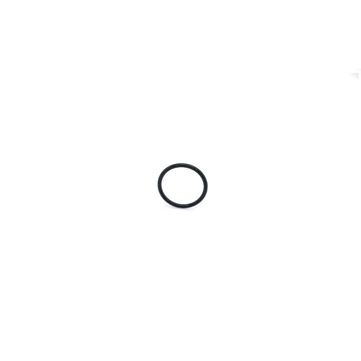 RFAB Resonator Plug O-Ring RFB-830-RFAB - HSP Diesel