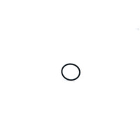 RFAB Resonator Plug O-Ring RFB-830-RFAB - HSP Diesel