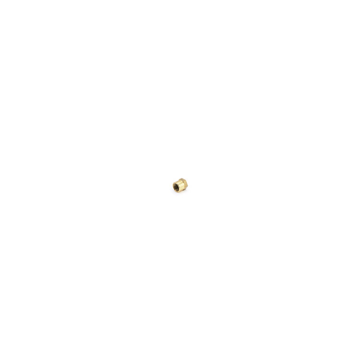 RFAB Brass Fuel Test Port Cap RFB-842-RFAB - HSP Diesel
