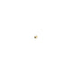 RFAB Brass Fuel Test Port Cap RFB-842-RFAB - HSP Diesel