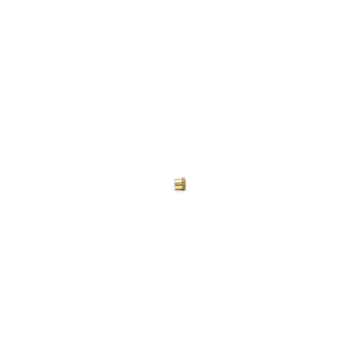 RFAB Brass Fuel Test Port Cap RFB-842-RFAB