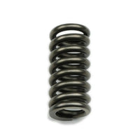 Reverse Servo Spring - Manual & Brake Valve Bodies