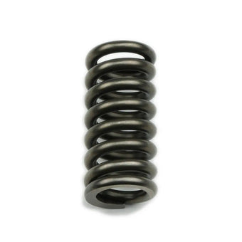 compare product Suncoast Reverse Servo Spring - Manual & Brake Valve Bodies