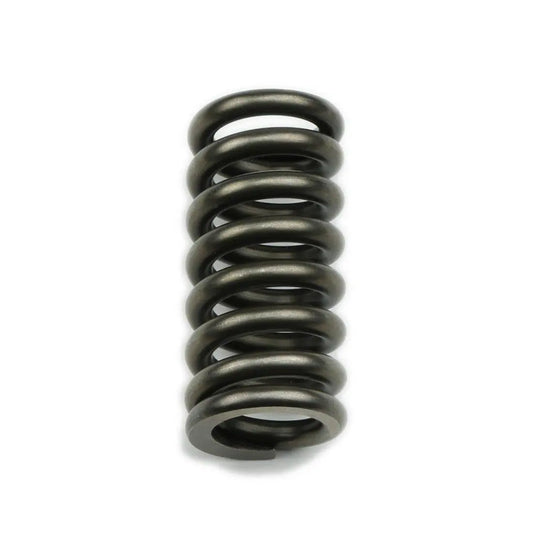 Reverse Servo Spring - Manual & Brake Valve Bodies