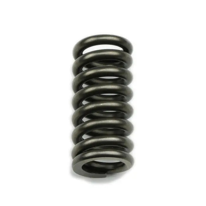 Reverse Servo Spring - Manual & Brake Valve Bodies