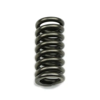 Reverse Servo Spring - Manual & Brake Valve Bodies