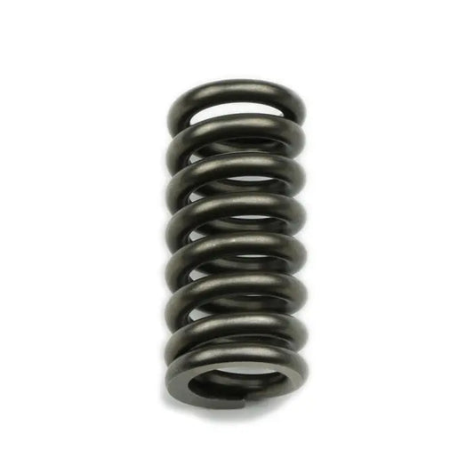 Suncoast Reverse Servo Spring - Manual & Brake Valve Bodies
