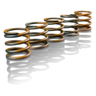 compare product Suncoast Enhanced Performance Accumulator Spring