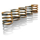 Enhanced Performance Accumulator Spring