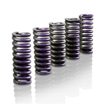 compare product Suncoast Pump Slide Spring