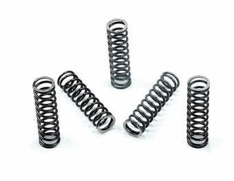 compare product Suncoast TCC Accumulator Spring - Pack of 5
