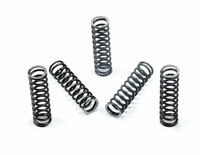 TCC Accumulator Spring - Pack of 5