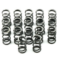 Trans Brake Spring Kit For Direct Clutch