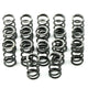 Trans Brake Spring Kit For Direct Clutch