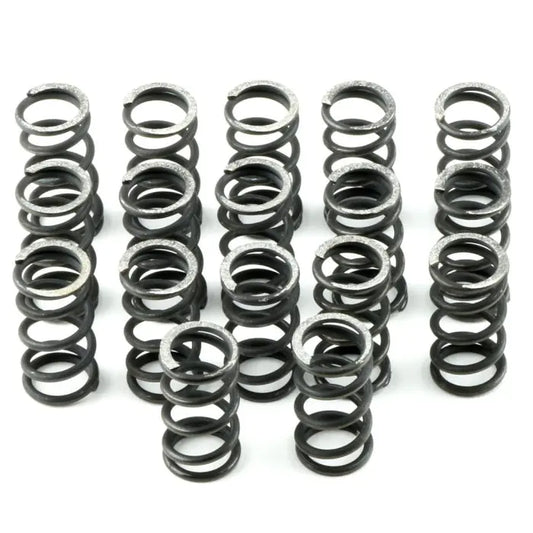 Suncoast Trans Brake Spring Kit For Direct Clutch