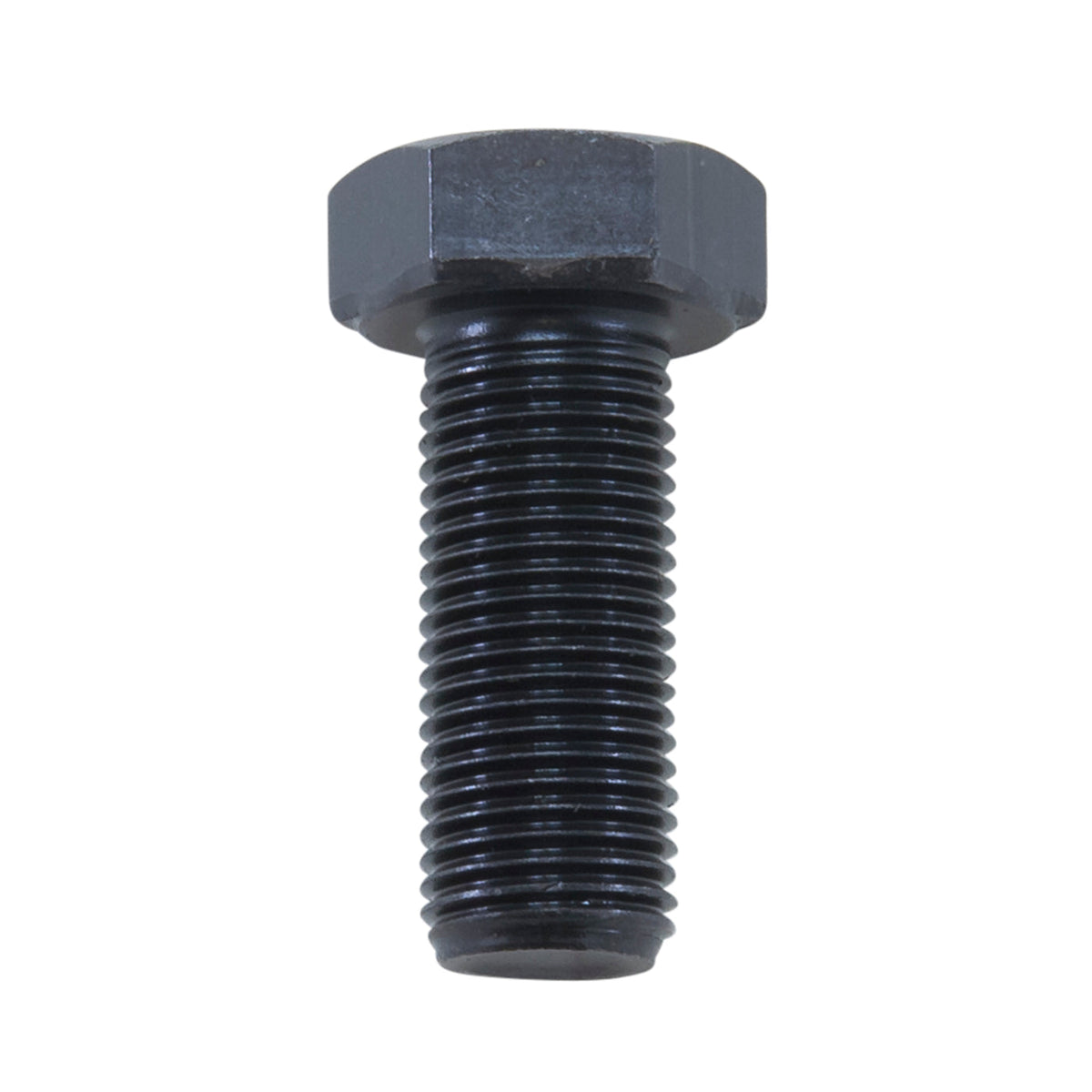Ring Gear Bolt For Ford 10.25 Inch & 10.5 Inch . Ford 10.25 Inch R/G Bolt 1/2 Inch -20 Yukon Gear Yukon Gear and Axle