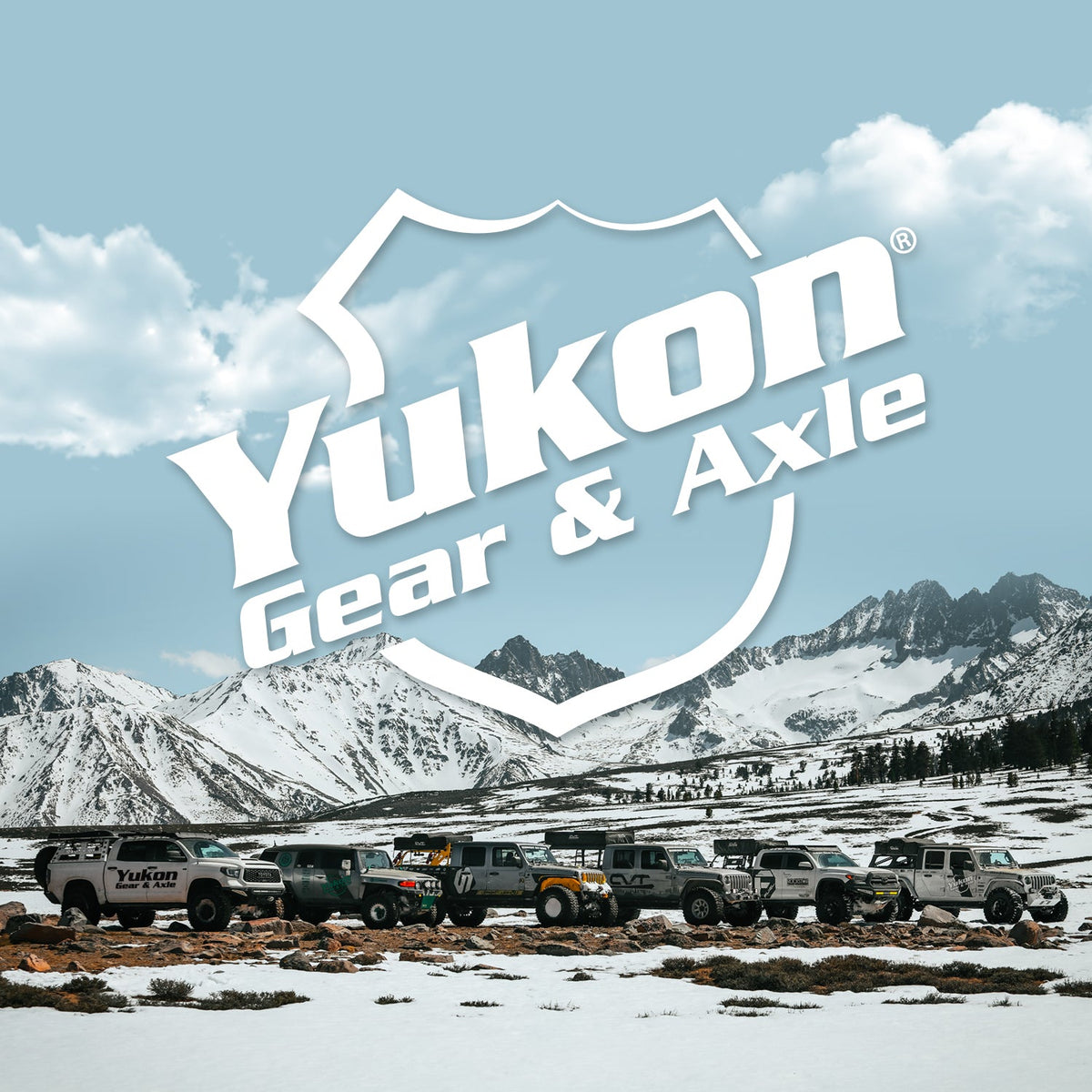 Axle Bearing Retainer For Dana 44 Rear D44 Axle Bearing Retainer For Use W/SET10 Bearing) Yukon Gear Yukon Gear and Axle